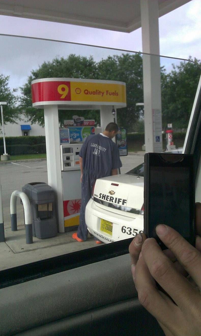 Gewoon een verzameling hilarische foto's #1096