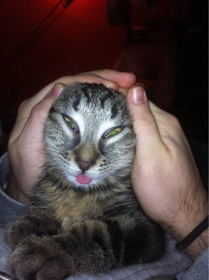 Gewoon een verzameling hilarische foto’s #1107