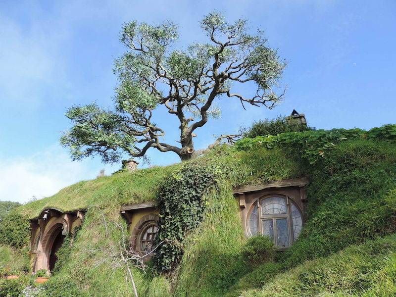 Gewoon een verzameling hilarische foto’s #1107