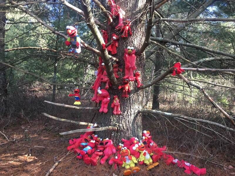 Gewoon een verzameling hilarische foto’s #1107