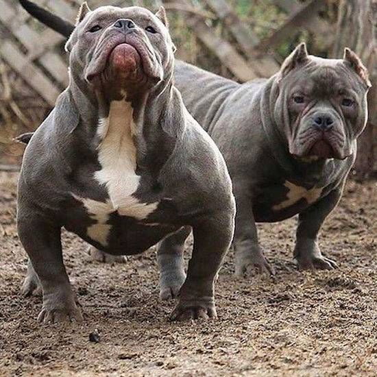 Gewoon een verzameling hilarische foto's #741