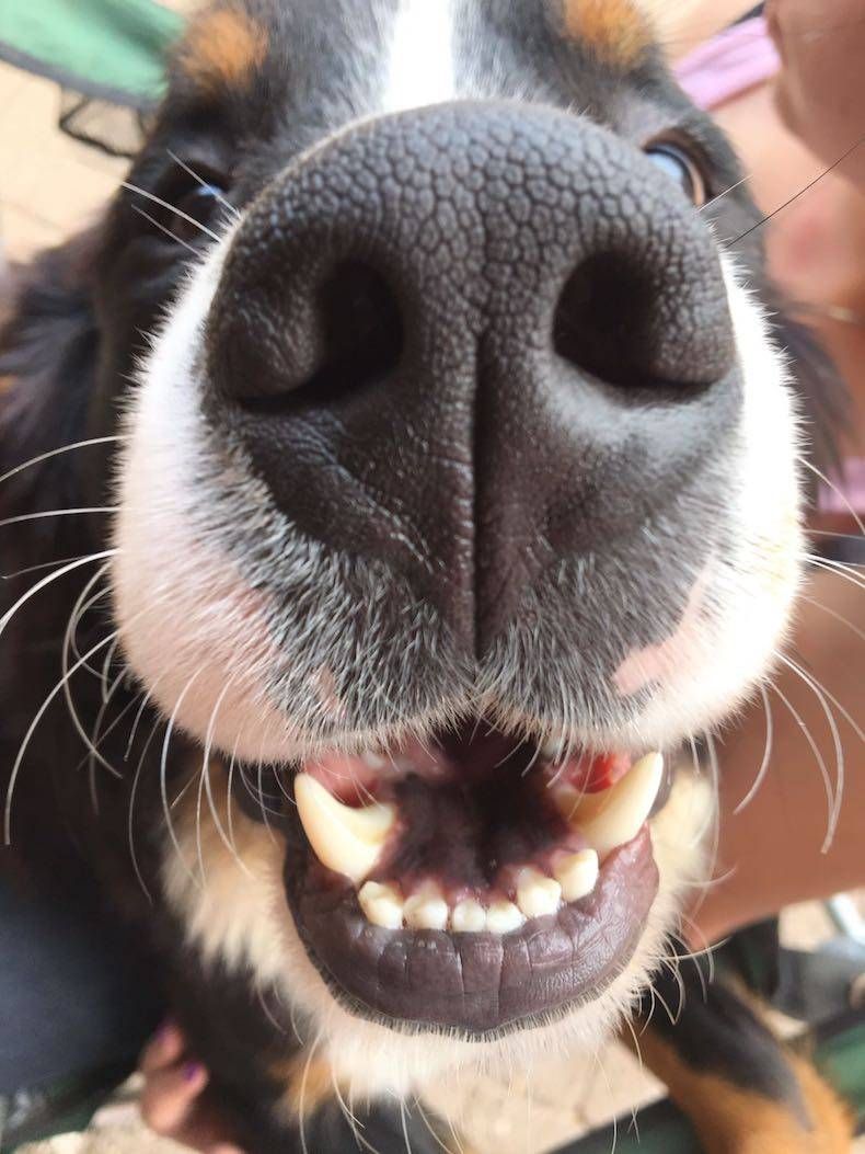 Gewoon een verzameling hilarische foto's #745