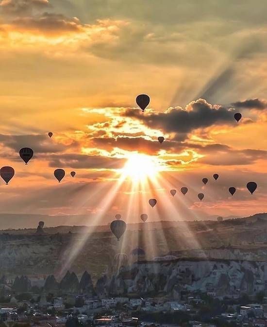 Gewoon een verzameling hilarische foto's #741