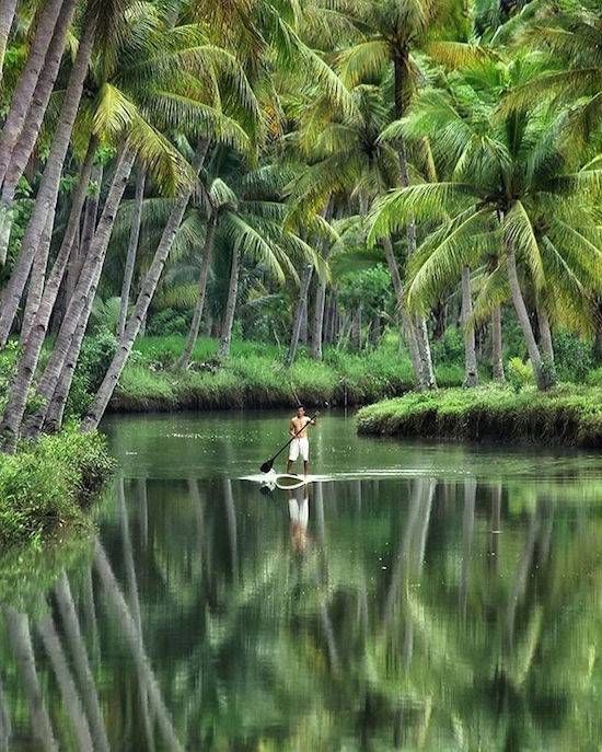 Gewoon een verzameling hilarische foto's #741