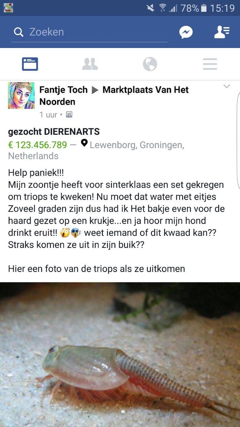 Gewoon een verzameling hilarische foto's #747