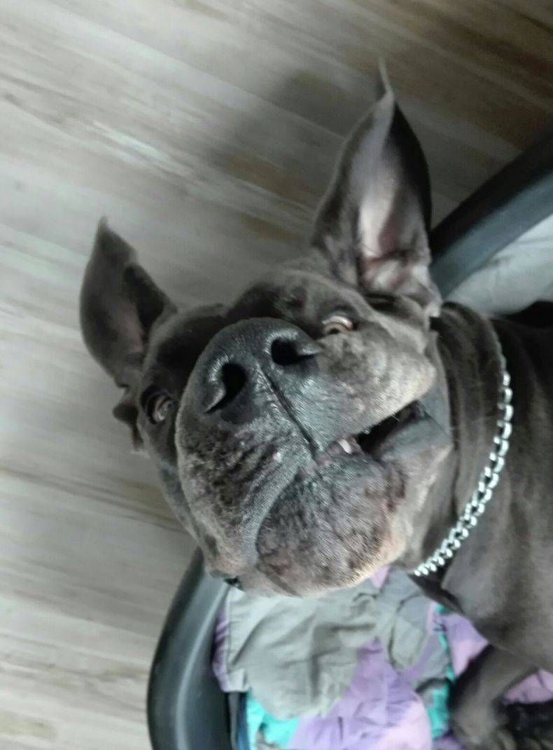 Gewoon een verzameling hilarische foto's #747