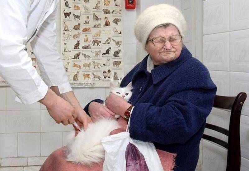 Gewoon een verzameling hilarische foto’s #1107