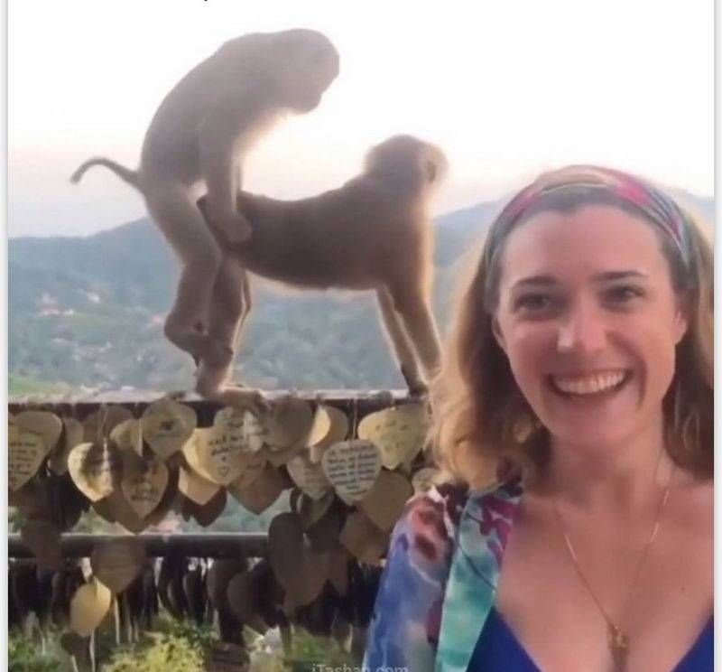 Gewoon een verzameling hilarische foto’s #1107