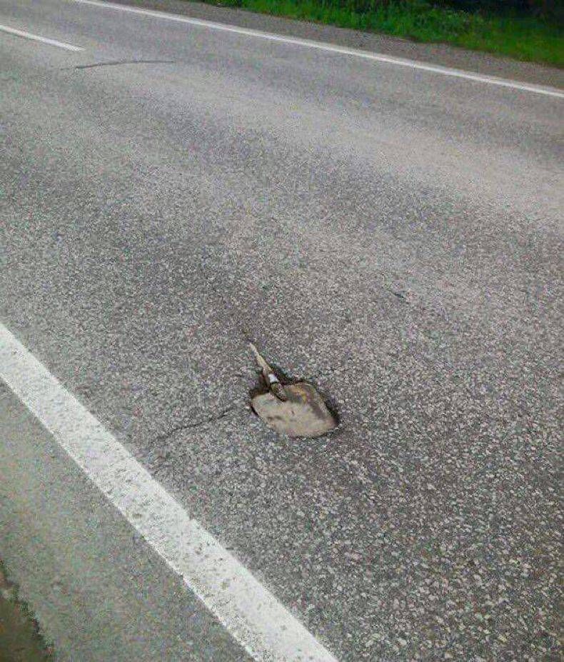 Gewoon een verzameling hilarische foto's #747