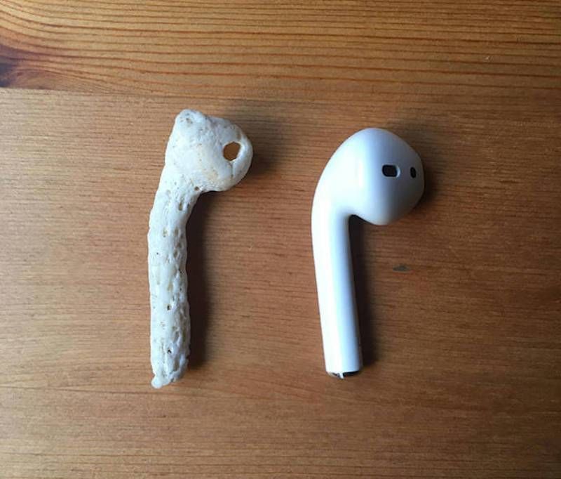 Gewoon een verzameling hilarische foto’s #1107