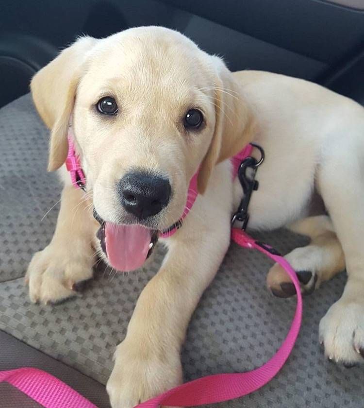 Gewoon een verzameling hilarische foto's #741