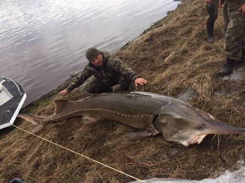 Gewoon een verzameling hilarische foto’s #1107