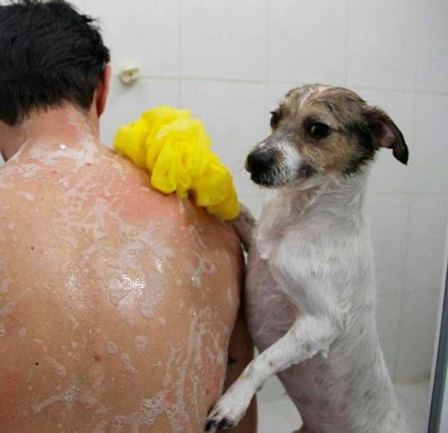 Gewoon een verzameling hilarische foto's #741