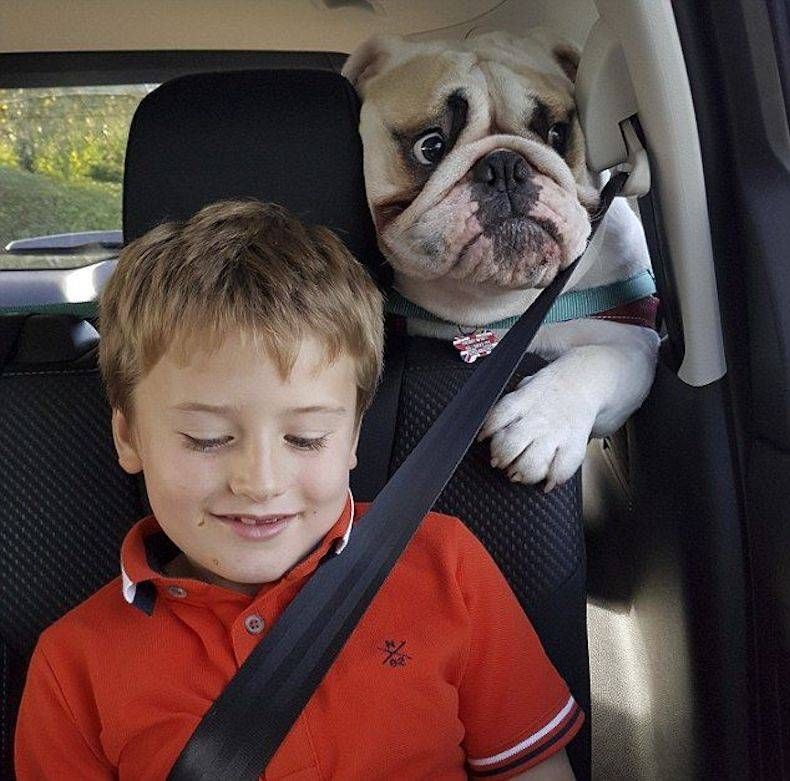 Gewoon een verzameling hilarische foto's #745