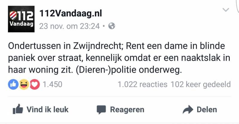 Gewoon een verzameling hilarische foto's #741