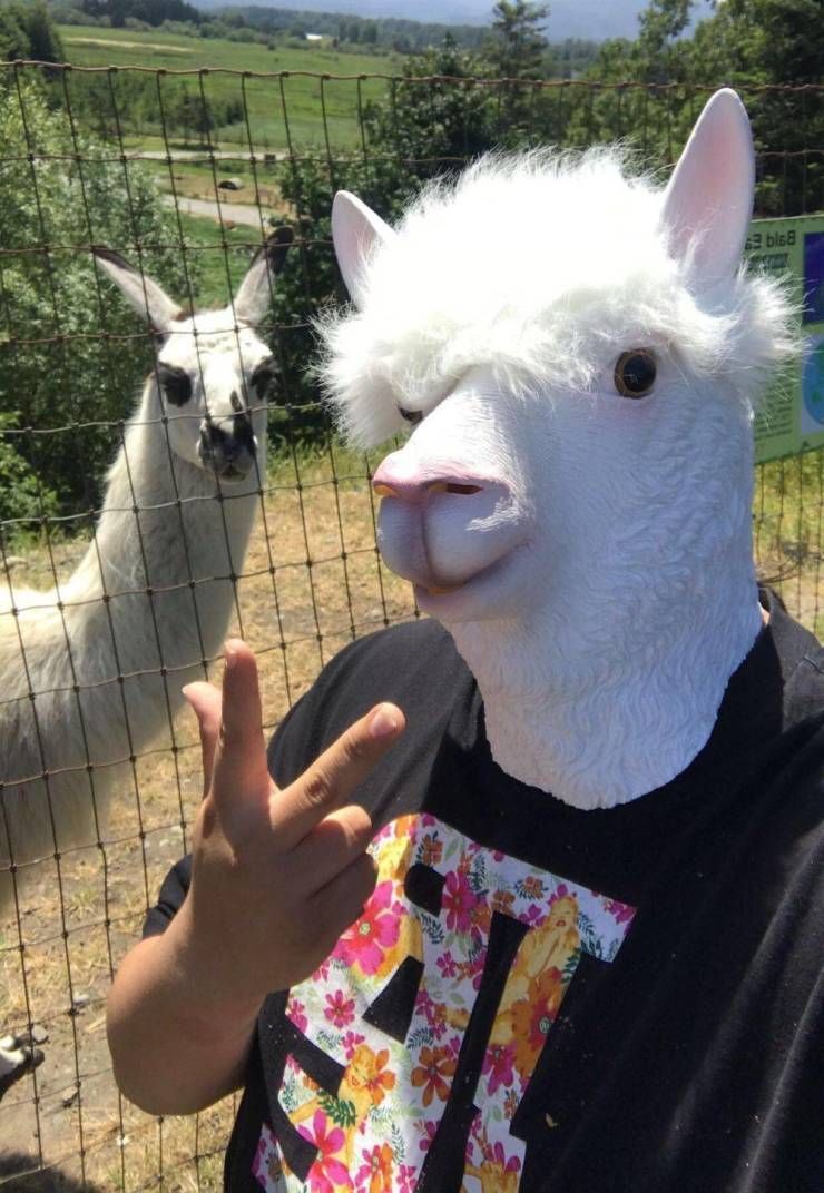 Gewoon een verzameling hilarische foto’s #1111