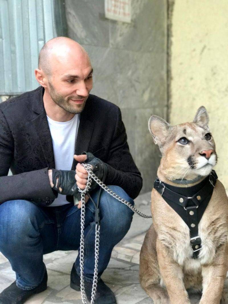 Gewoon een verzameling hilarische foto’s #948