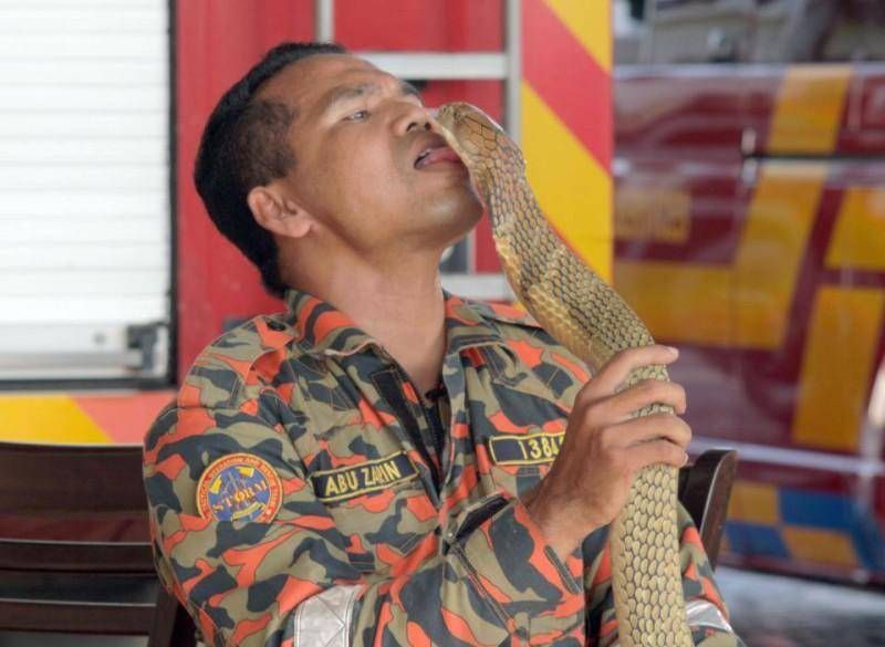 Gewoon een verzameling hilarische foto’s #948