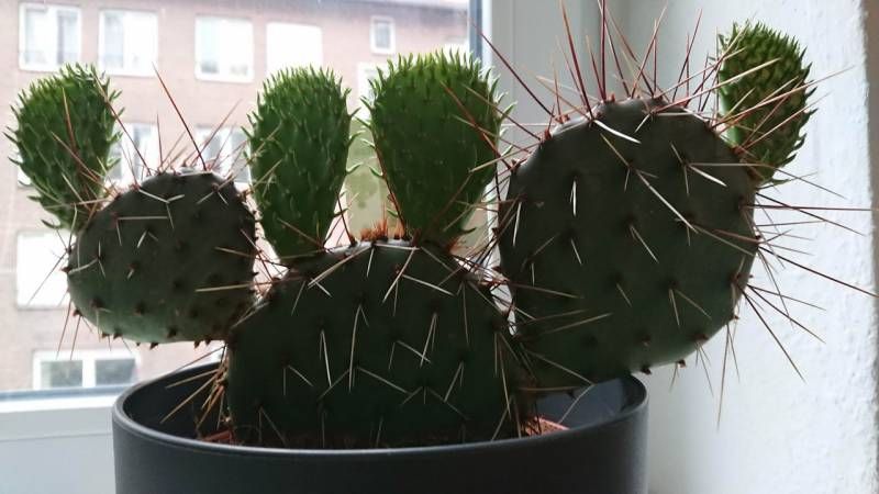 Gewoon een verzameling hilarische foto’s #1111