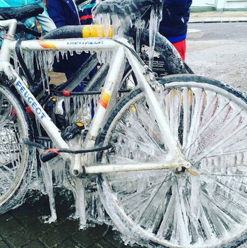 Gewoon een verzameling hilarische foto’s #948
