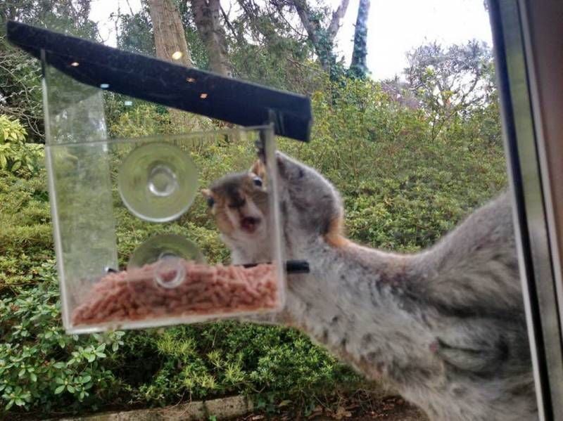 Gewoon een verzameling hilarische foto’s #1111