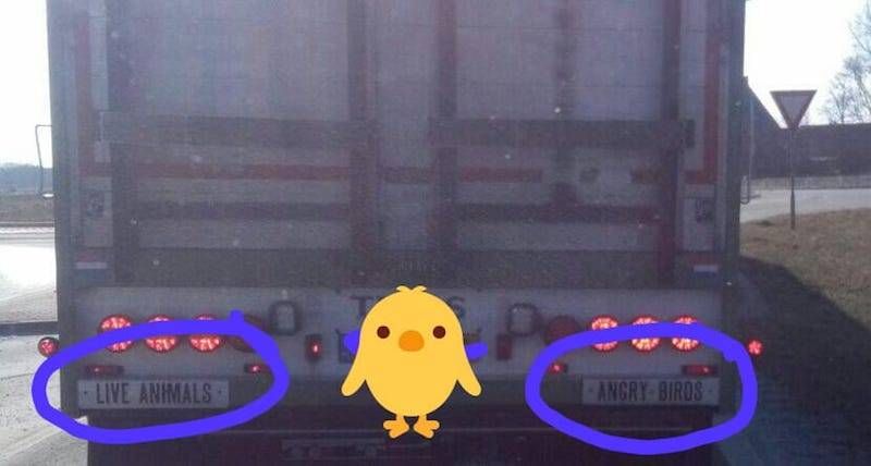 Gewoon een verzameling hilarische foto’s #948