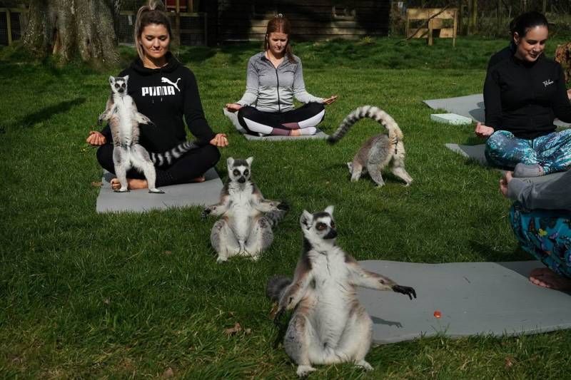 Gewoon een verzameling hilarische foto’s #1111