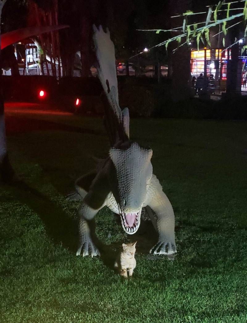 Gewoon een verzameling hilarische foto’s #1111