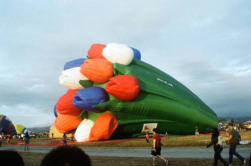Gewoon een verzameling hilarische foto’s #1111