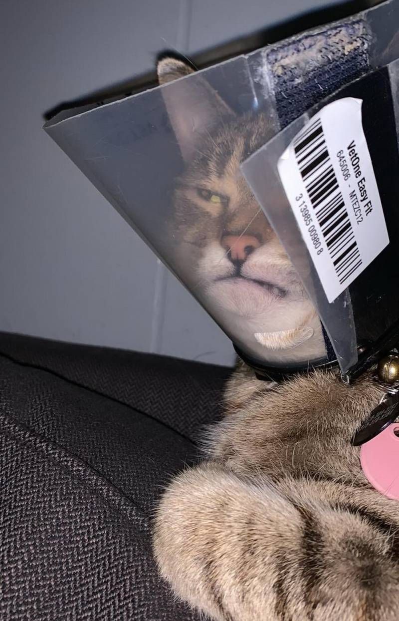 Gewoon een verzameling hilarische foto’s #1111