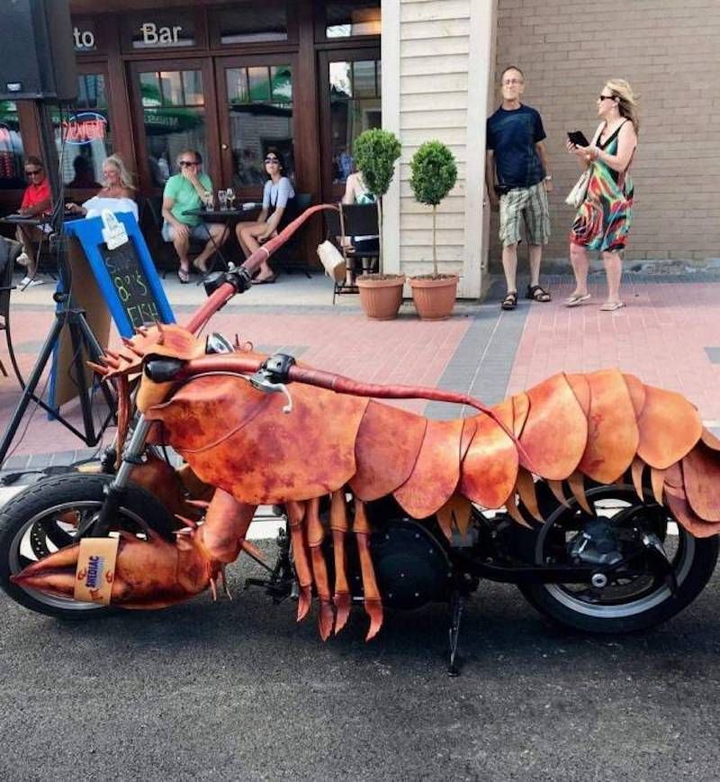 Gewoon een verzameling hilarische foto’s #948