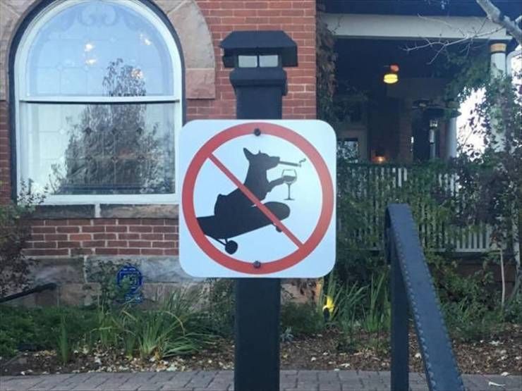 Gewoon een verzameling hilarische foto’s #1111