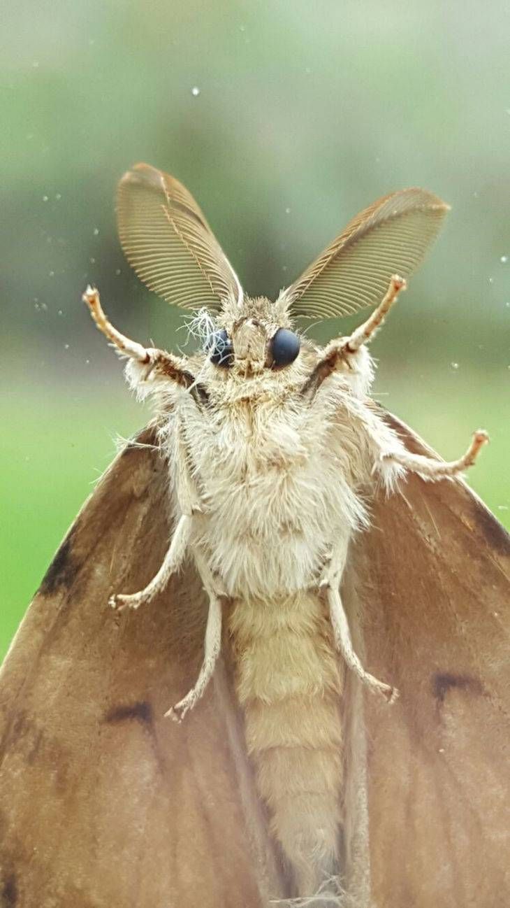 Gewoon een verzameling hilarische foto's #705