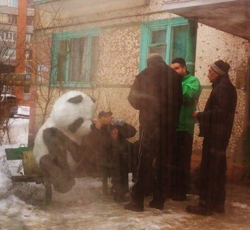 Gewoon een verzameling hilarische foto’s #948
