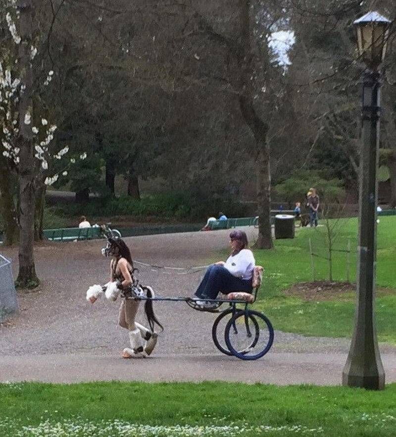 Gewoon een verzameling hilarische foto’s #948