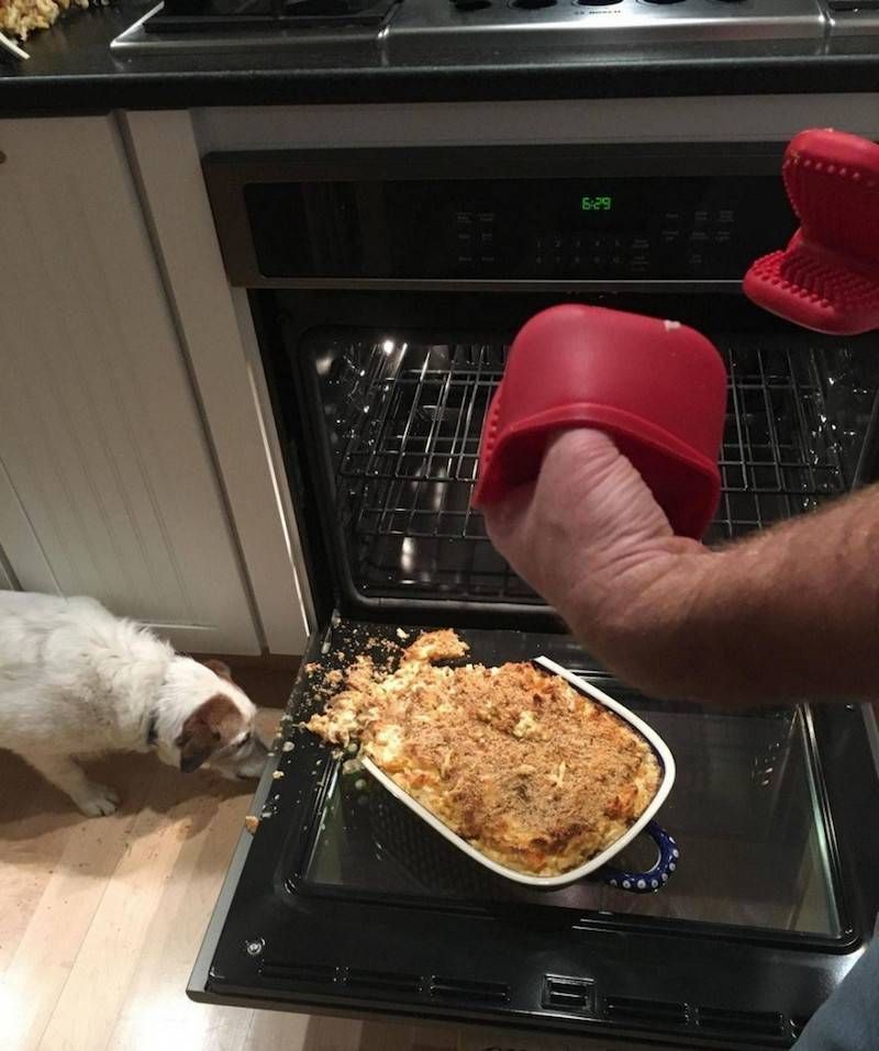 Gewoon een verzameling hilarische foto’s #948