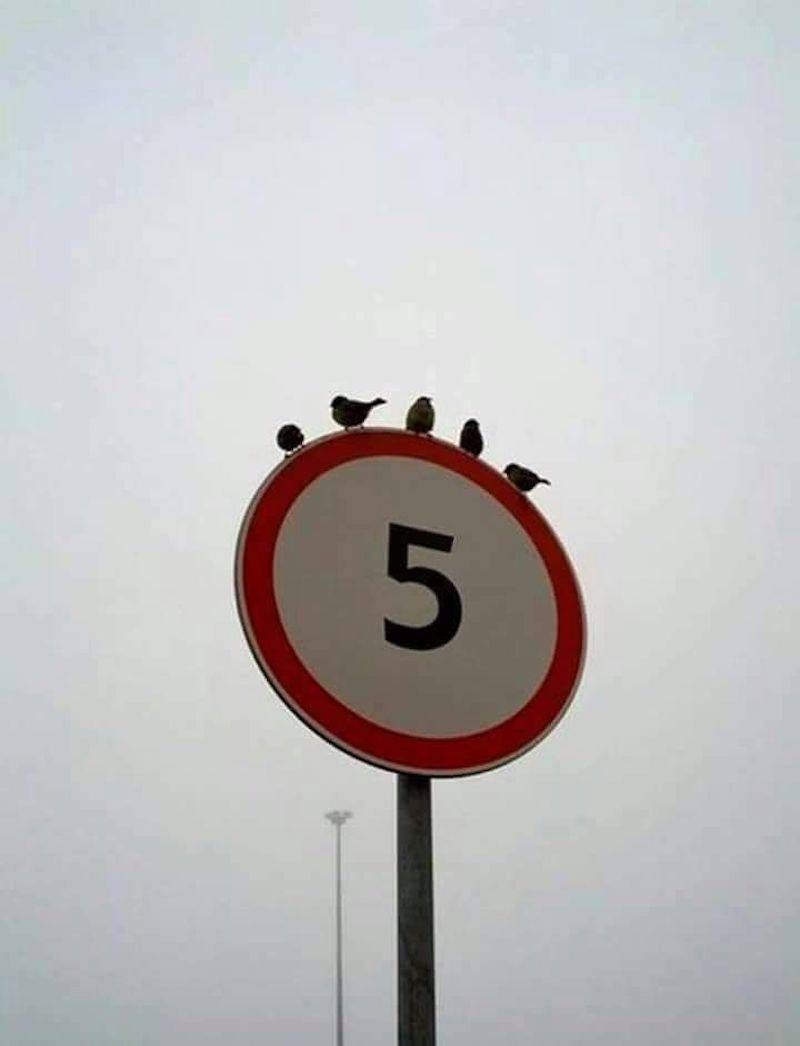 Gewoon een verzameling hilarische foto’s #948