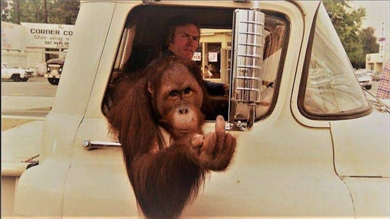 Gewoon een verzameling hilarische foto’s #948