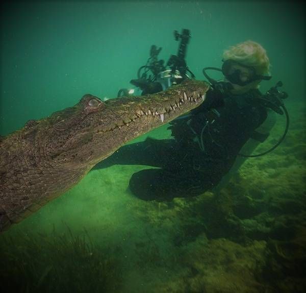 Gewoon een verzameling hilarische foto’s #792