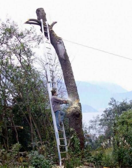 Gewoon een verzameling hilarische foto’s #792