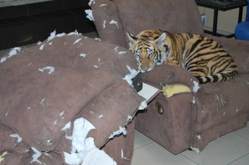 Gewoon een verzameling hilarische foto’s #792