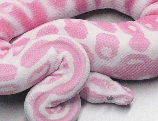 Gewoon een verzameling hilarische foto’s #792