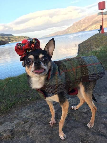 Gewoon een verzameling hilarische foto’s #792