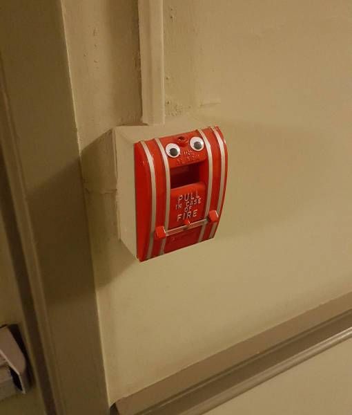 Gewoon een verzameling hilarische foto’s #792