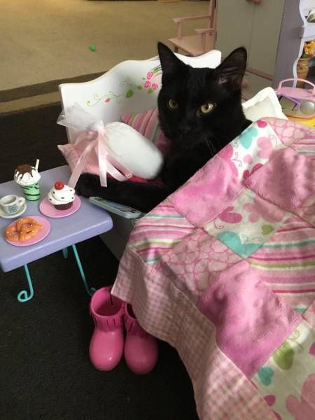 Gewoon een verzameling hilarische foto’s #792