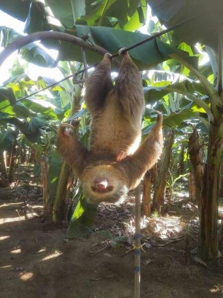 Gewoon een verzameling hilarische foto’s #792