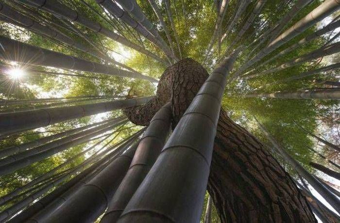 Gewoon een verzameling hilarische foto’s #792