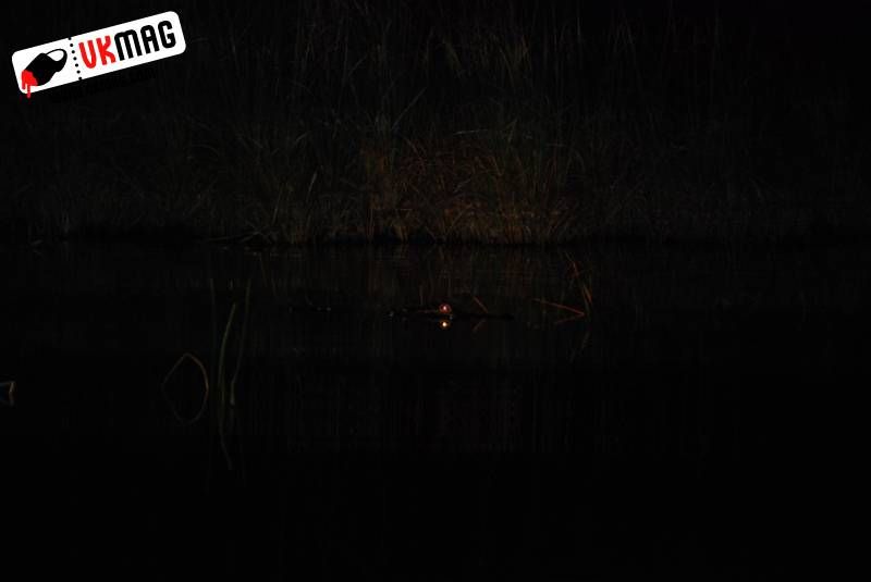 Everglades Red Eye Hunting