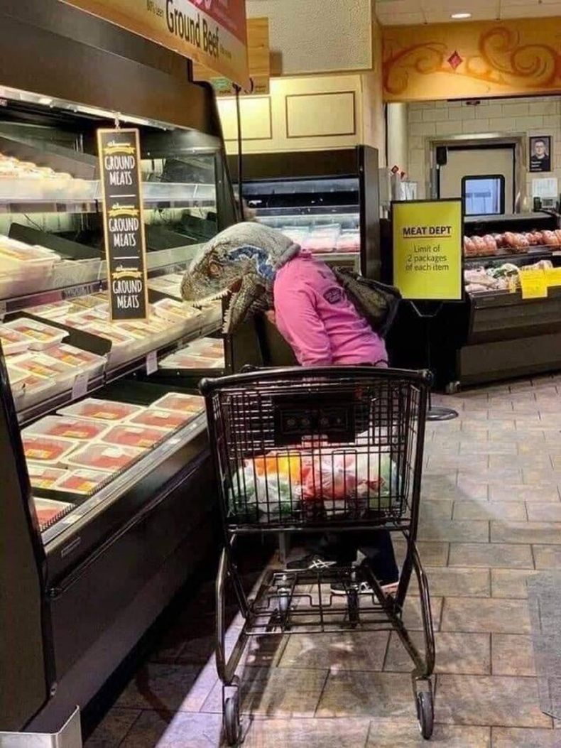 Gewoon een verzameling hilarische foto's #1495