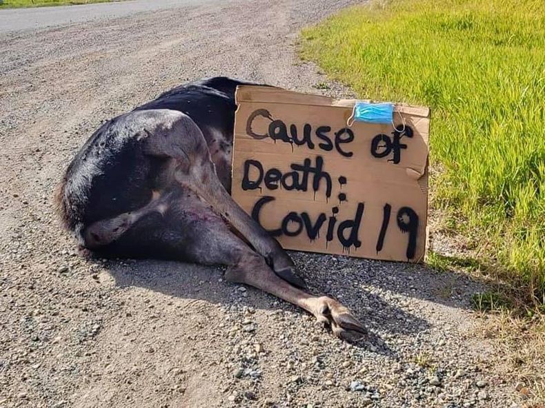Gewoon een verzameling hilarische foto's #1493